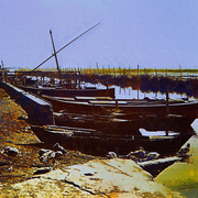 _051__la_albufera_card