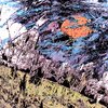 World_s_collide2_thumb