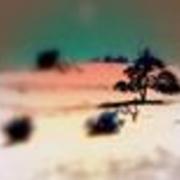 M_5356b320f41c4624a4990af1fc598a70_card