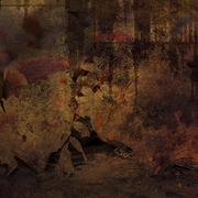 Forest_dreams_card