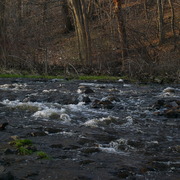 Beaverbrook3_card