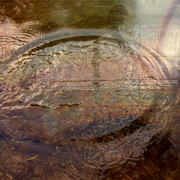 Ripple