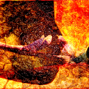 Lava_flower_card