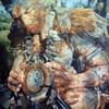 Tokkaong__old_man_s_hat__thumb