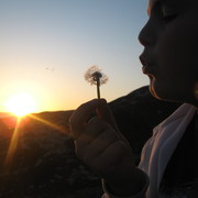 Img_1423_card