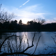 Freshpondreservationatdusk_card
