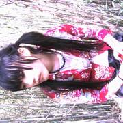 S73f7696mm_card