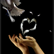 A_letter_to_my_love_card