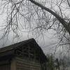Img_3420_thumb