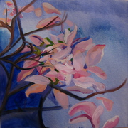 Finished_magnolia_petals_in_the_evening_card