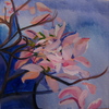 Finished_magnolia_petals_in_the_evening_thumb