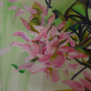 Magnolias_petals_in_the_morning_card