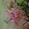 Magnolias_petals_in_the_morning_thumb