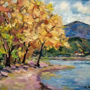 Img_4782_card