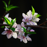 Img_7541d_card