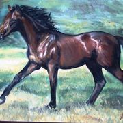 Horserunning_card