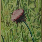 Img_3231_card