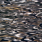 Brillos_en_el_agua_card