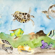 Aquarium_card