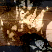Shadows_3