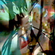 Shadows_2