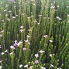 Photo-1_thumb