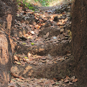 Steps_card