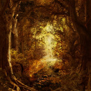 Glimpse_card