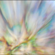 324145038341_0_0_card