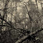 ______1461_card