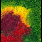 Painteddisplay_card