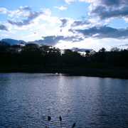 Sunsetinthecloudsoverfreshpond_card