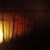 Luminis_aurora_lepolsk_matuszewski__ignis_anima_2007_thumb