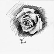 Rose_flower_card