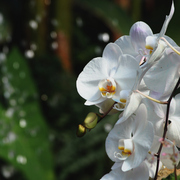 Img_7664d_card
