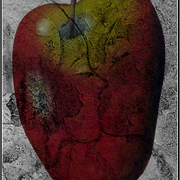 Stone_dream_card