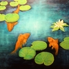 Goldfishpond_thumb