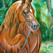 Arabianhorse_card