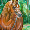 Arabianhorse_thumb