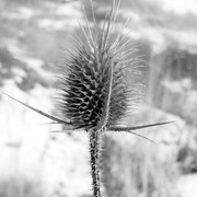 Dsc04285_card