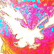 328167190277_0_0_card