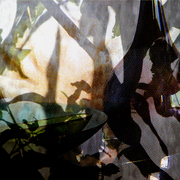 Shadows_4_card