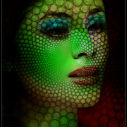 Nymph_card