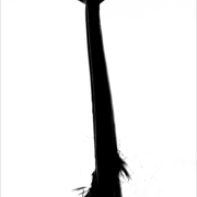 34encadree_card