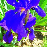109_0467_card