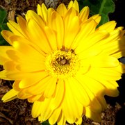 109_0472_card
