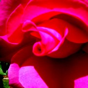 109_0473_card