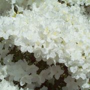 109_0478_card