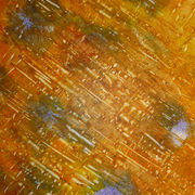 Acid_rain_card