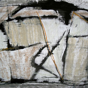 Ptica_card